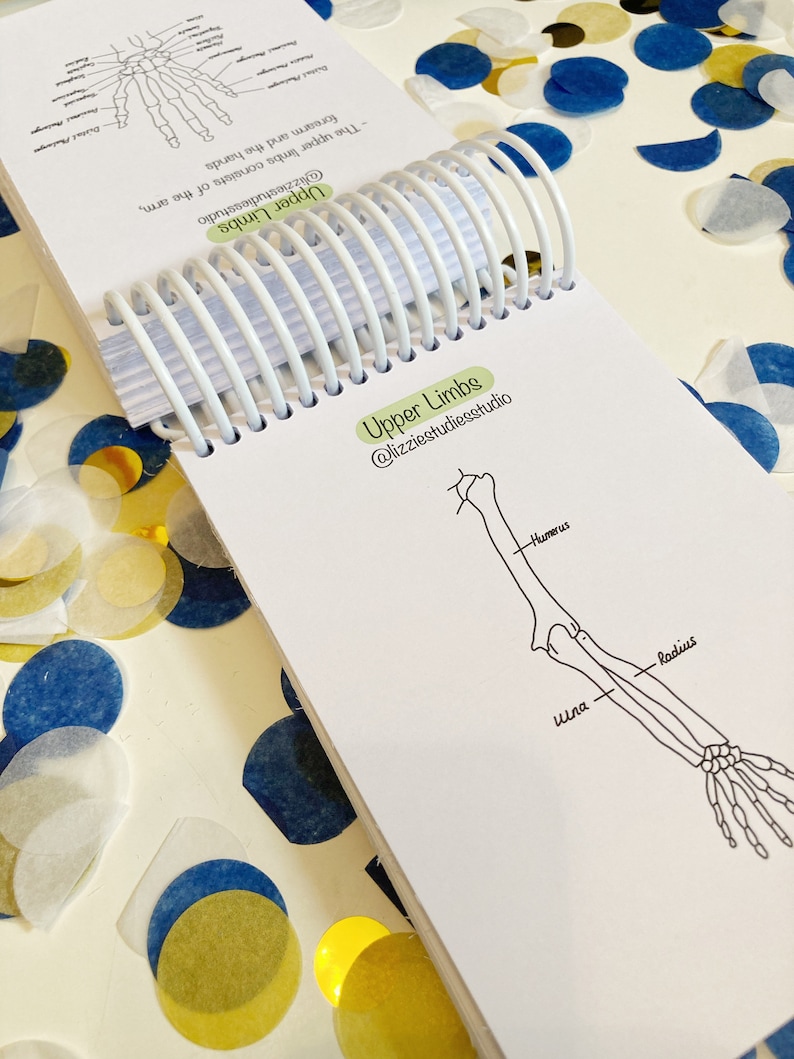 Anatomy and Physiology Flashcards for Paramedics Students Etsy