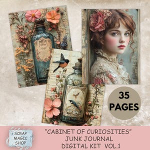 Kit de diário de curiosidades do Cabinet of Curiosities, download digital, folhas de colagem, imprimíveis vintage, materiais de artesanato, páginas de curiosidades, álbum de recortes.