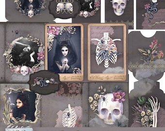 May include: A digital junk journal kit titled "Darkness Ecstasy" featuring gothic-themed illustrations. The kit includes images of skulls, snakes, and women in dark attire, with floral and spider accents. The overall color palette is dark gray and purple.