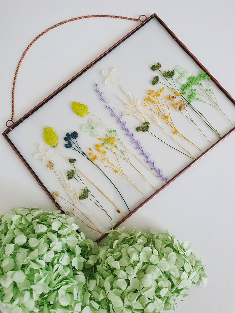 Gepresste Blume Rahmen Herbarium mit trockenen Pflanzen in Etsy