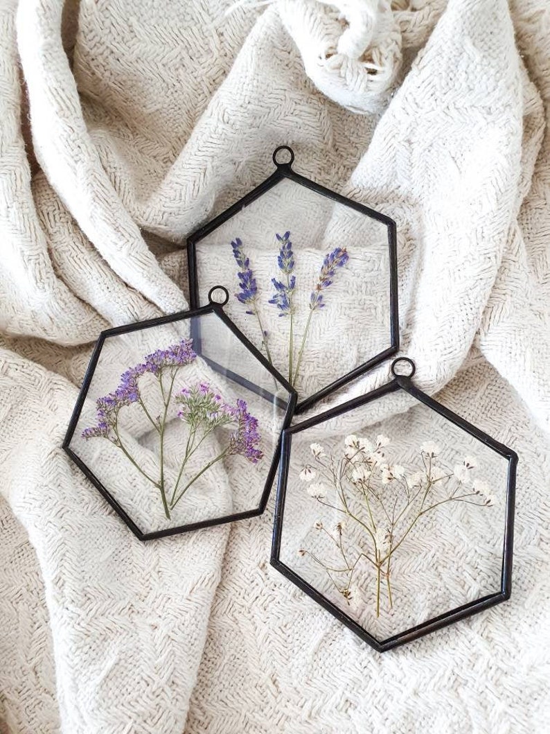Set of 3 Pressed Flower Frame Art Herbarium With Dry Flower Etsy