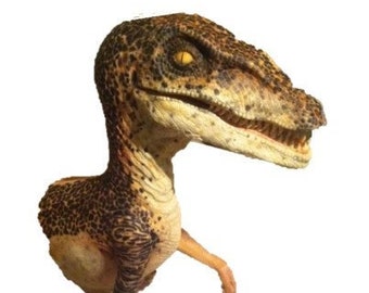 Velociraptor half body display