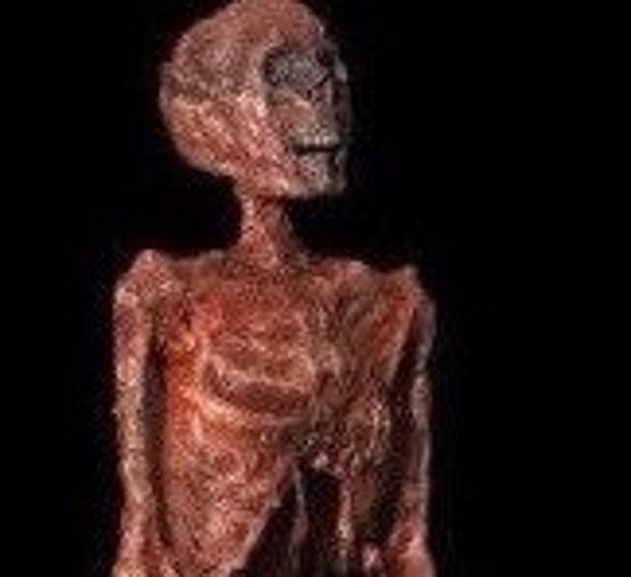 60 Bloody Latex Wrapped Corpse Prop | Etsy