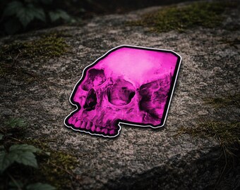 Pink Neon Skulls