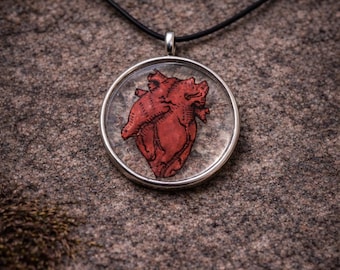 Anatomical Heart Pendant - Stylized Design