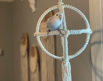 The Orb - Bird Swing. 3 ring parrot jungle gym, hanging play area.