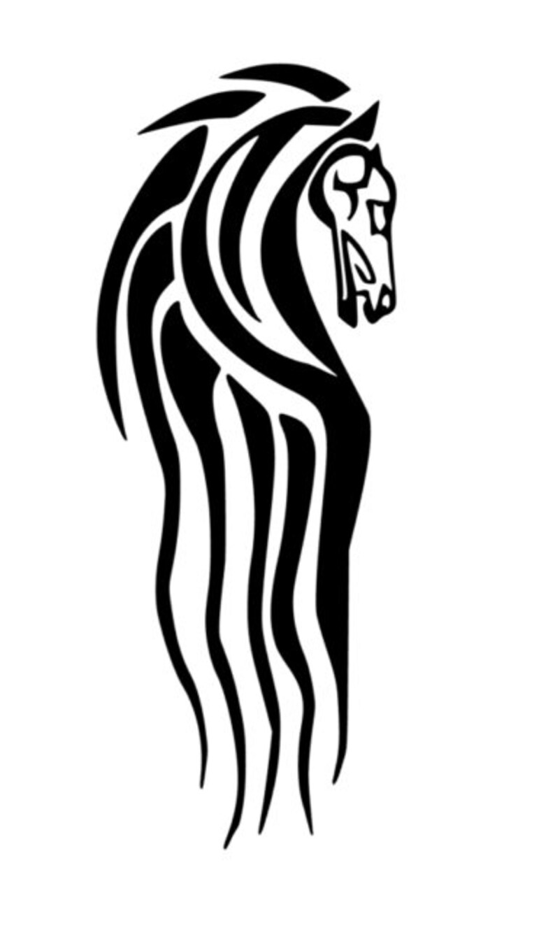 Lord of the Rings Rohan Vinyl