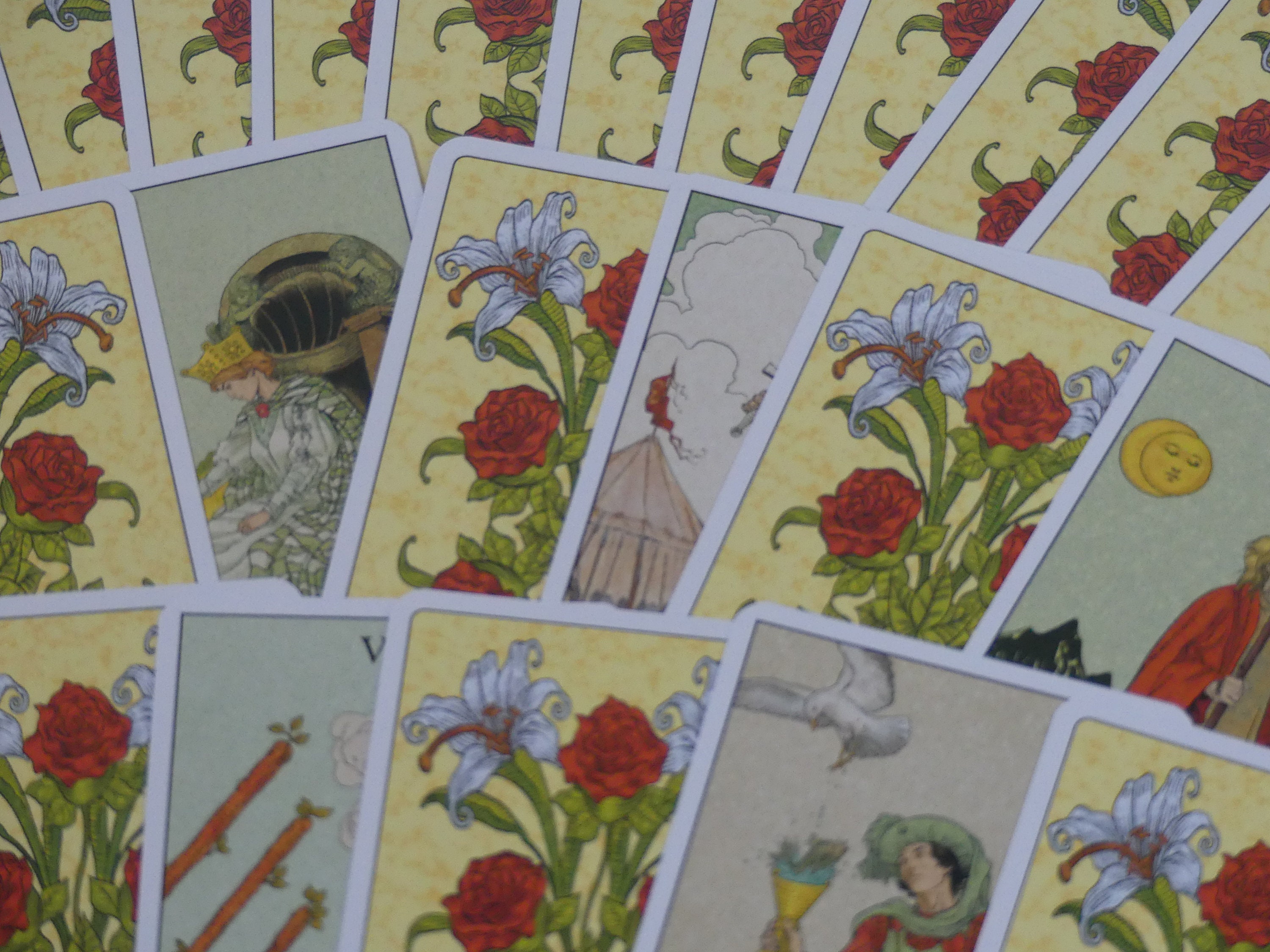 One card tarot reading etsy