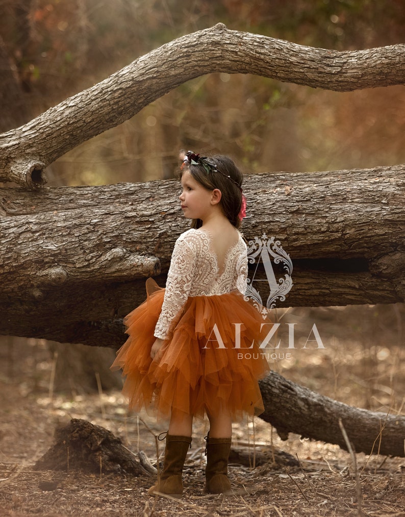 Burnt Orange Flower Girl Dress, Baby Toddler Dress, Tulle Tutu Dress, image 4