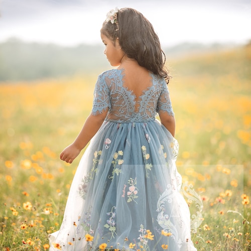 green emerald velvet dress Blue Floral Embroidered Smock Neck Tiered Ruffle Dress main image 1