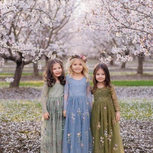 Pu&ograve; includere: Tre abiti a maniche lunghe fino ai piedi in verde salvia, blu polvere e verde oliva. Ogni abito presenta uno scollo rotondo, un corpetto aderente con dettagli in pizzo e una gonna in tulle fluida decorata con motivi floreali ricamati.