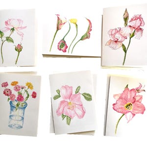 6 originele botanische 5 x 7 ecru-wenskaarten met enveloppen, botanisch kunstenaar Marie Brezinski Cape Cod