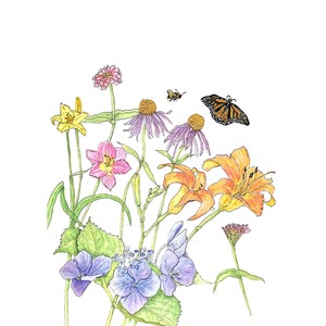 May include: A watercolour painting of a bouquet of flowers, including hydrangeas, lilies, coneflowers, and zinnias. A monarch butterfly and a bee are flying above the flowers.