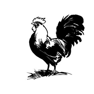 Rooster Svg png download, Farm life, Animal, Morning rooster, Farm Life Chicken SVG, Cricut SVG cut file, silhouette file, Clip art download