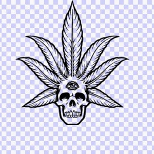 Pot leaf Skull SVG Download, SVG files for Cricut, Svg files for Silhouette, Digital Download, Svg Design, Cricut files, pot bud leaf PNG