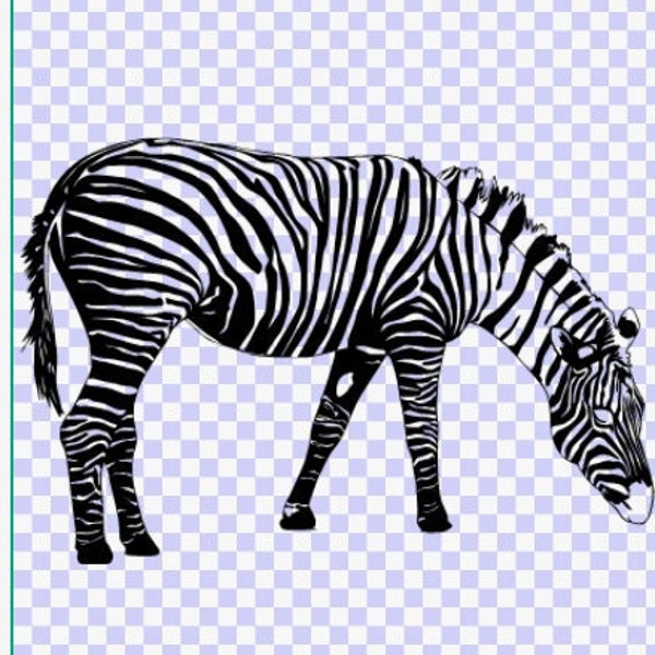 Zebra svg, Download file Svg instant digital Download Cricut svg Zebra Zoo Download Clip art, Png, svg, silhouette vector jpg clip art