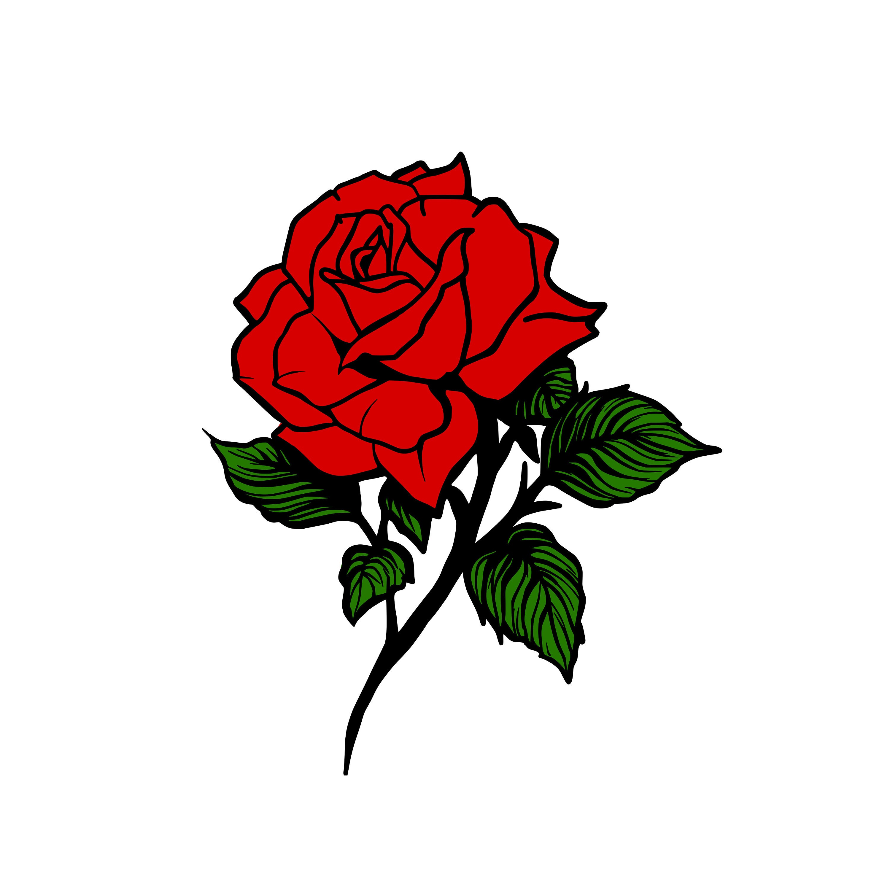 Free Single Rose Outline Design SVG Cut File