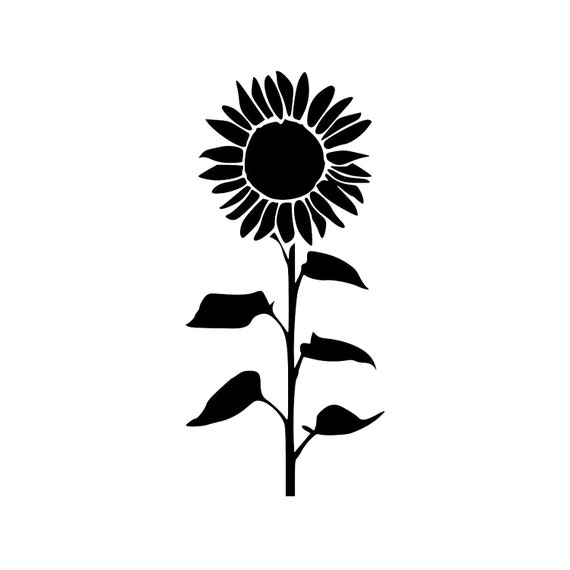 Tall Sunflower Svg Download Png Cut File Clip Art Download - Etsy UK