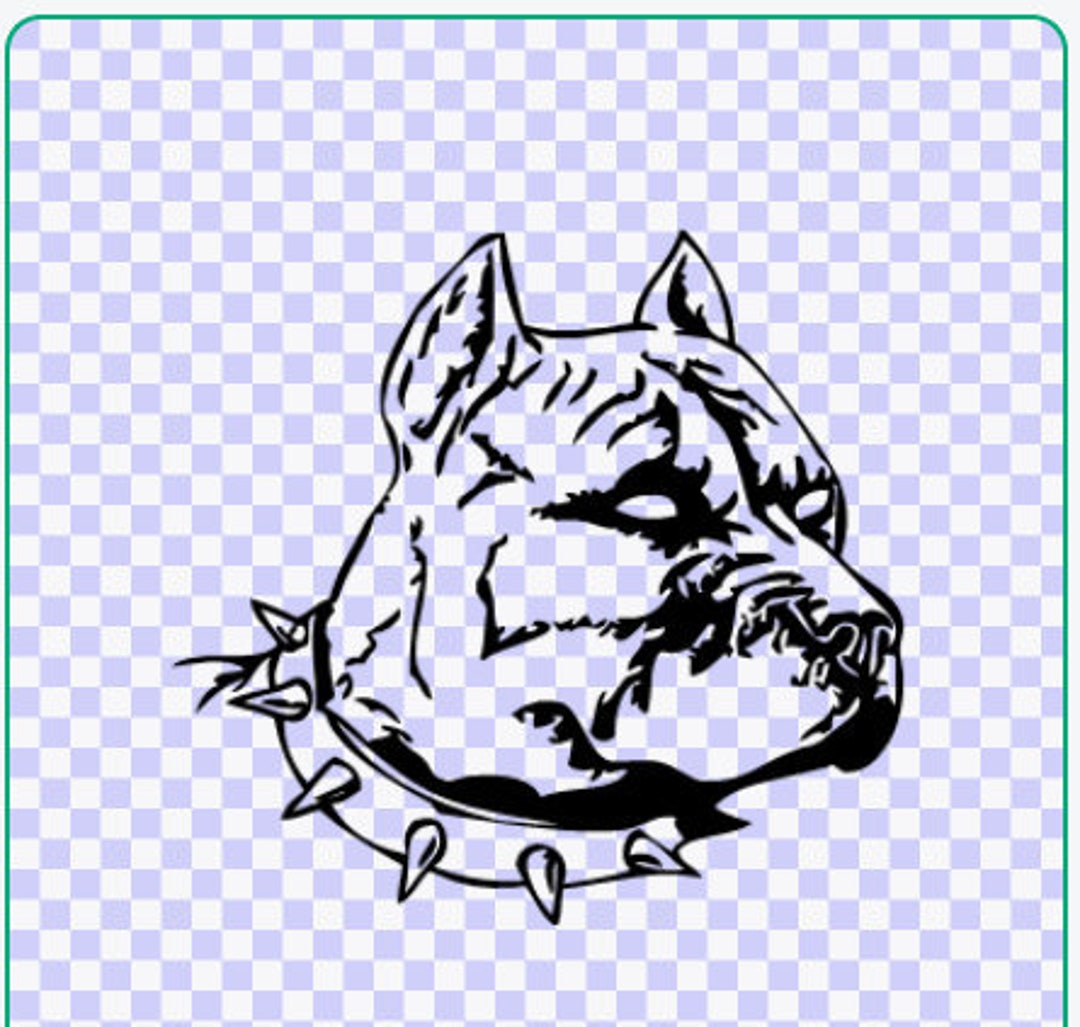 Pitbull spiked collar sale