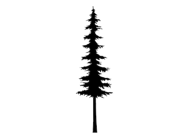 Thin Pine Tree svg, tree Download file Svg digital Cricut svg Clip art, Png, svg, silhouette vector, Christmas Tree Svg, pine tree vector