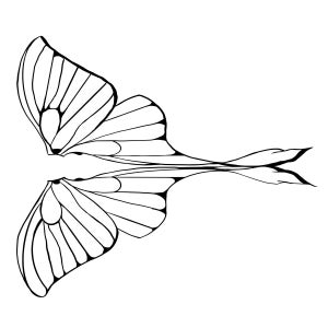 Schmetterling Flügel svg, sofortiger digitaler Download, svg, png Schnitt Datei, Schmetterlingsflügel, Feeflügel, Clip Art Download Cricut Silhouette Schnittdatei