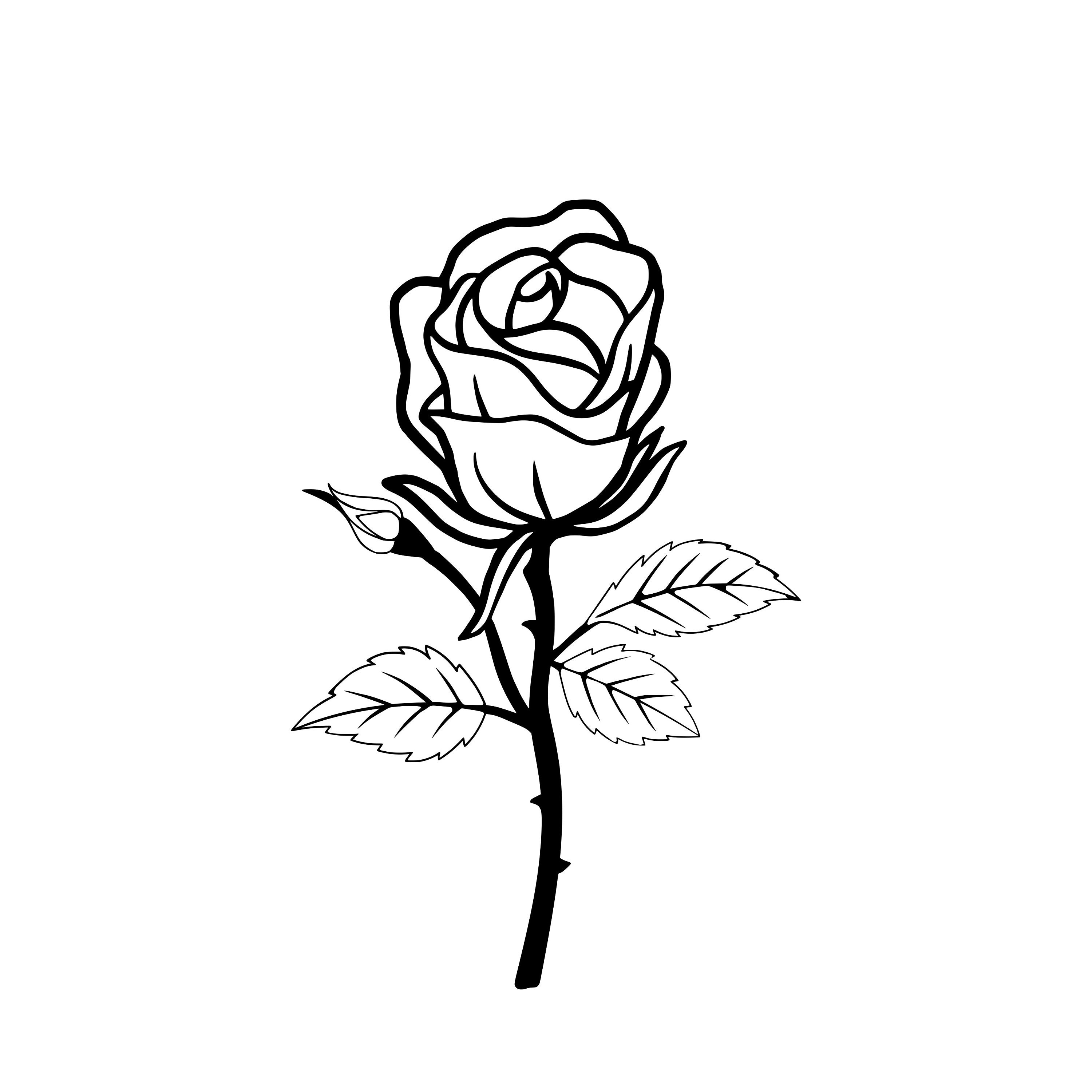 long stem rose svg