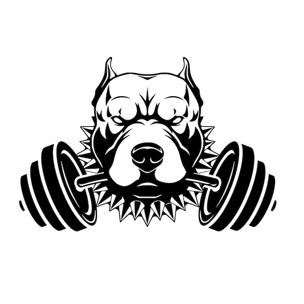 Weightlifting Pitbull SVG Download Cut File, Weight lifting Pitbull Dog, Silhouette, Clipart, Svg Vector, svg, barbell svg, Weight lifting