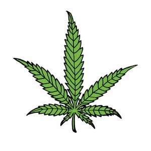 May include: A green cannabis leaf with seven points, outlined in black.