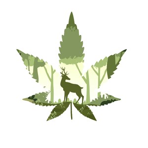 Commercial use Nature Pot leaf PNG JPG Download, files for Cricut, files for Silhouette, Digital Download, Cricut, pot leaf png Printable