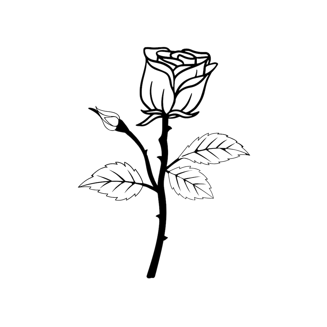 Long Stem Rose Download Vector Cut File, Bmp, Png, Jpg Cricut