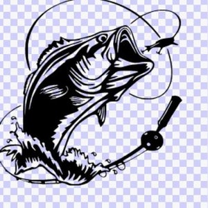 Trout Fishing Svg, Trout Fish Svg, Trout Svg, Trout Fish Clipart, Trout  Fish Cricut, Fishing Svg, Trout Fish Vector, Trout Fishing Cut File -   Canada