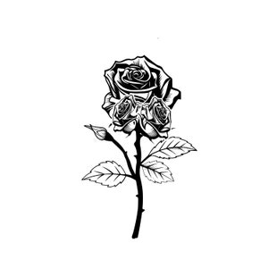 Bouquet of Roses SvgDownload png Cut file, Rose svg Clipart download, love wedding gift, Rose Flower, cricut silhouette