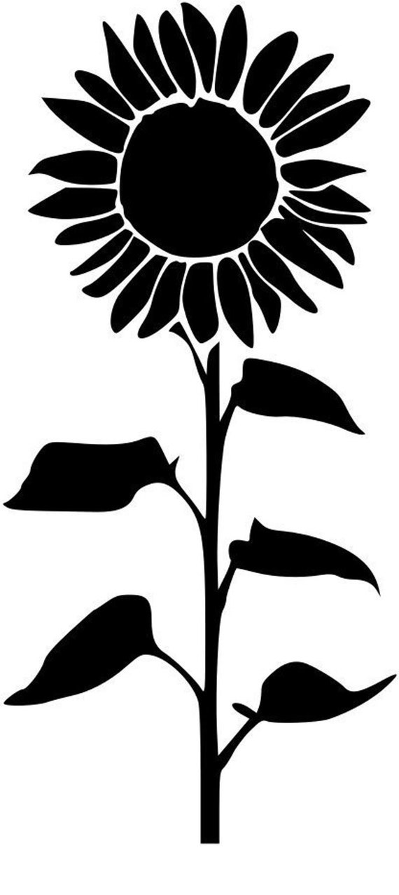 Tall Sunflower Svg Download Png Cut File Clip Art Download - Etsy