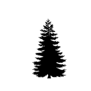 May include: Black silhouette of a tall, evergreen tree with a triangular shape and many branches.