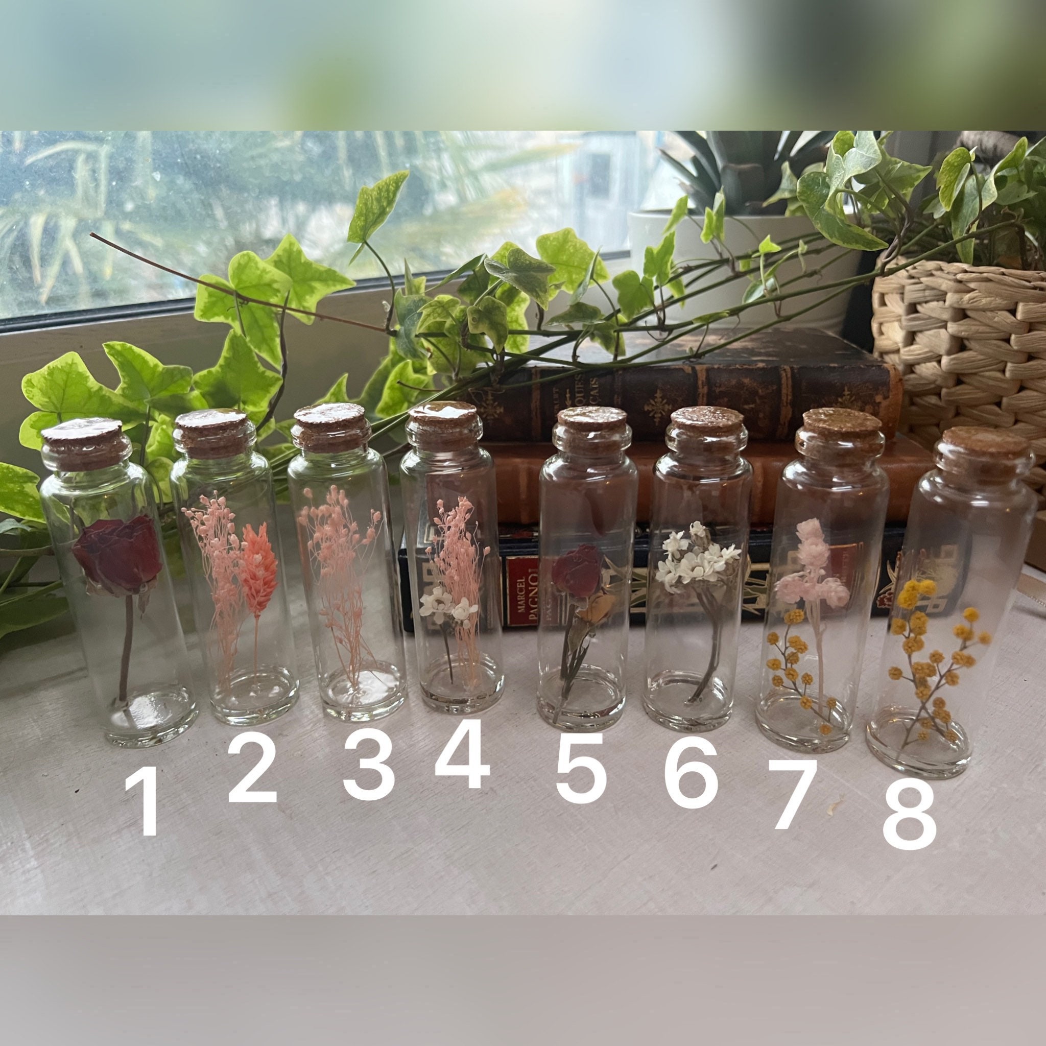 Fioles Décoratives Fleurs Séchées