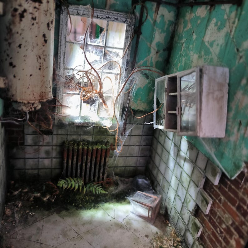 Asylum Bathroom Diorama: Abandoned Horror Scene - Etsy