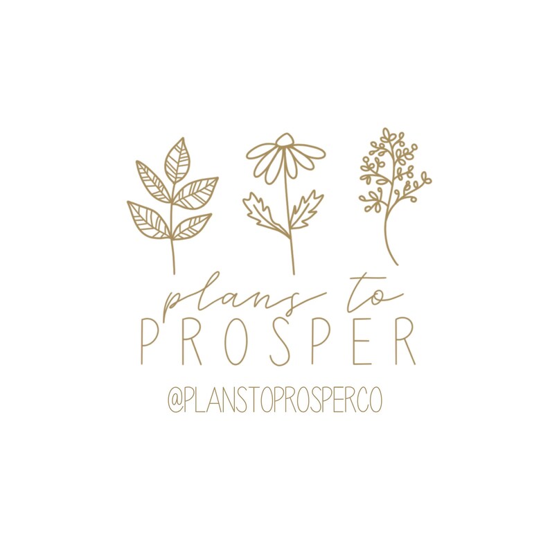 May include: A logo design with the text "plans to prosper" and the social media handle "@planstoprosperco". The logo features three stylized line drawings of plants, including a daisy, a leafy branch, and a sprig of flowers.