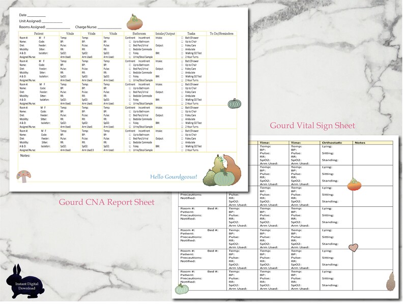 Fall CNA Report Sheet, Autumn Themed Nursing Assistant Brain, Vital ...