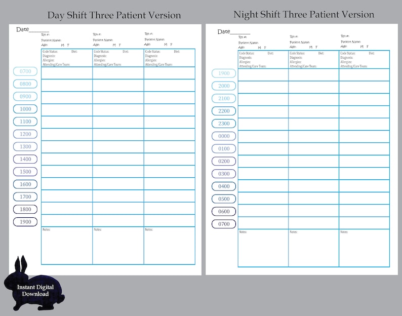 Day Shiftnote Nursing Shift Organization Sheet, Nurse Day Planner Printable, Hourly ...