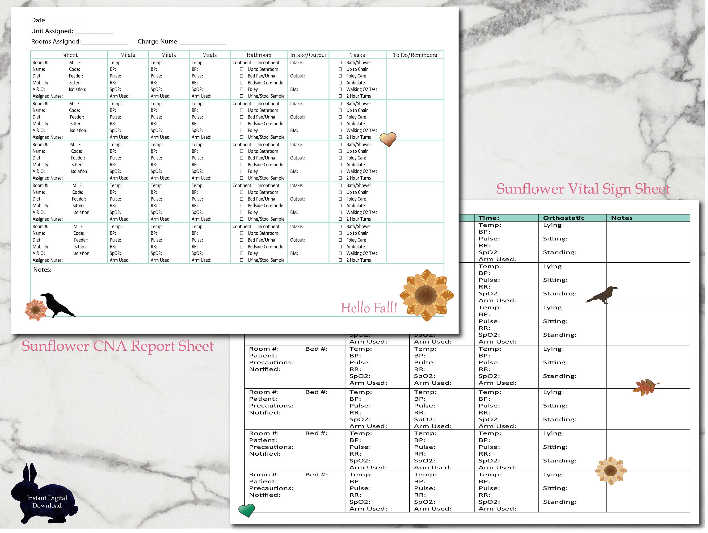 Fall CNA Report Sheet, Autumn Themed Nursing Assistant Brain, Vital ...