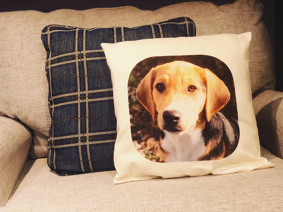 Personalized Pet Pillow Etsy
