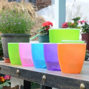 May include: Six colorful plastic plant pots in green, pink, blue, purple, and orange. The pots are arranged in a row on a wooden table.