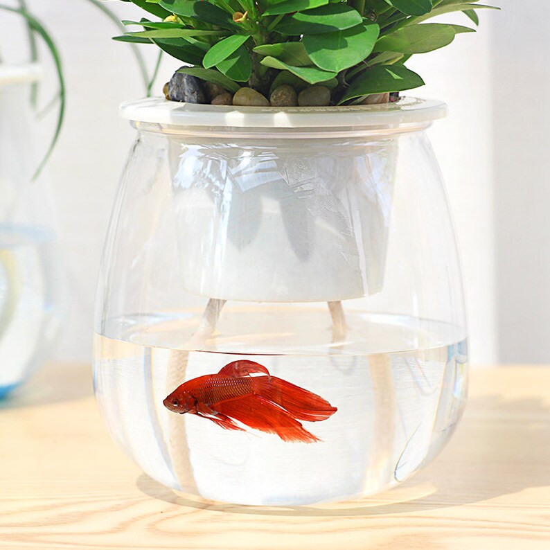 Orchid Pots 3 Self Watering Plant Planters Etsy