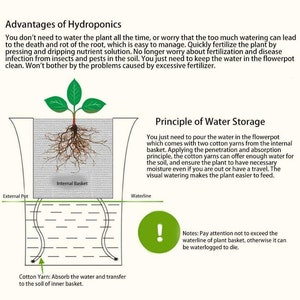 May include: Diagram illustrating the advantages of hydroponics, a method of growing plants without soil. The diagram shows a plant growing in a pot with an internal basket and cotton yarn that absorbs water and transfers it to the soil of the inner basket. The text explains the principle of water storage and notes to pay attention to the waterline of the plant basket to avoid overwatering.