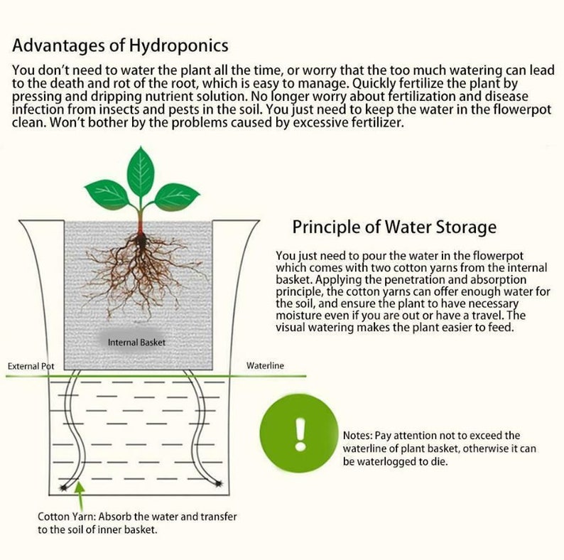 May include: Diagram illustrating the advantages of hydroponics, a method of growing plants without soil. The diagram shows a plant growing in a pot with an internal basket and cotton yarn that absorbs water and transfers it to the soil of the inner basket. The text explains the principle of water storage and notes to pay attention to the waterline of the plant basket to avoid overwatering.