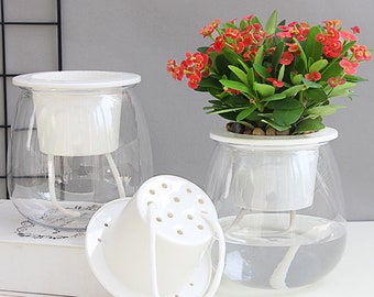 Orchid Pots  - 3 Self watering plant Planters