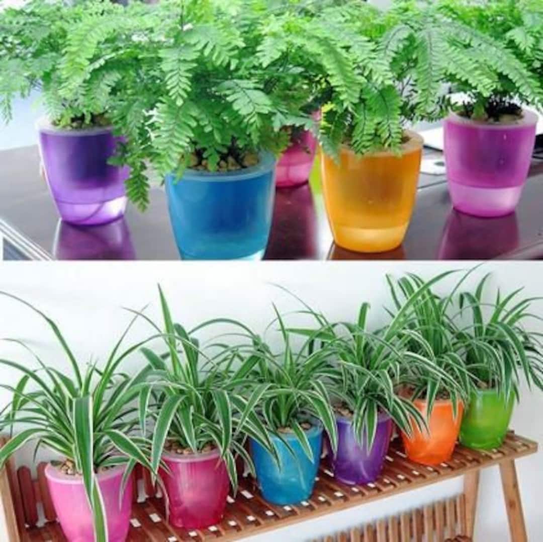 2 Pcs Orchid Pot Extra Large Pots Trees Planting Plastic Indoor Planters  Flower Nursery - AliExpress