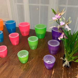 May include: Assortment of colorful plastic plant pots in various sizes. The pots are arranged on a wooden surface. A potted orchid with pink flowers is in the foreground.