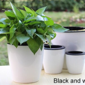 May include: Set of three white plastic plant pots with black rims. The pots are different sizes and are arranged in a row. The largest pot has a green plant growing in it.