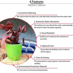 May include: A green self-watering planter with a red and green plant inside. The planter has a clear water reservoir and a visual waterline. The planter is made of PP new resin and is environmentally friendly. The planter is available in black and white.